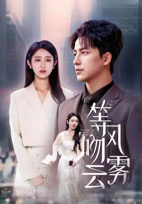 剧集 雾港迷案 封面